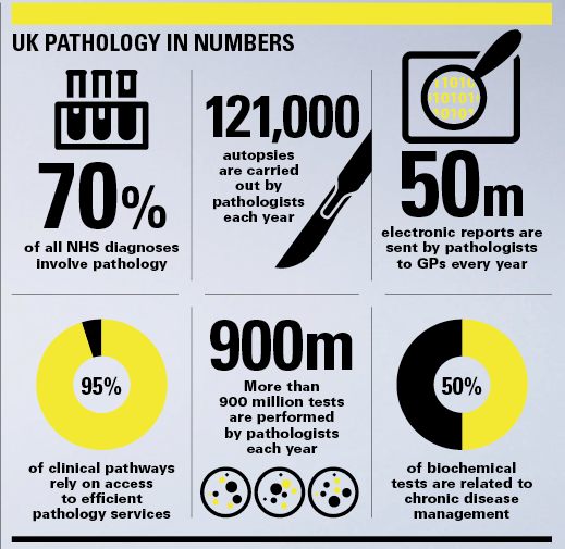 UK pathology in numbers