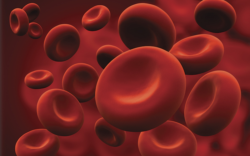 Red-blood-cells-_iStock-182860171