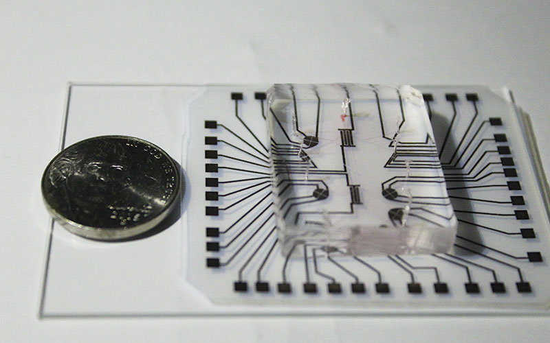 The 1p "lab on a chip"