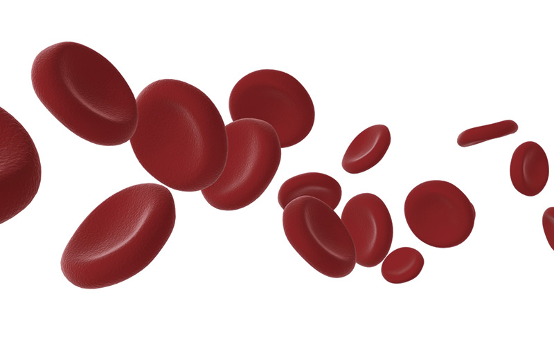 High blood platelet count is a predictor/ iStock: 158249922