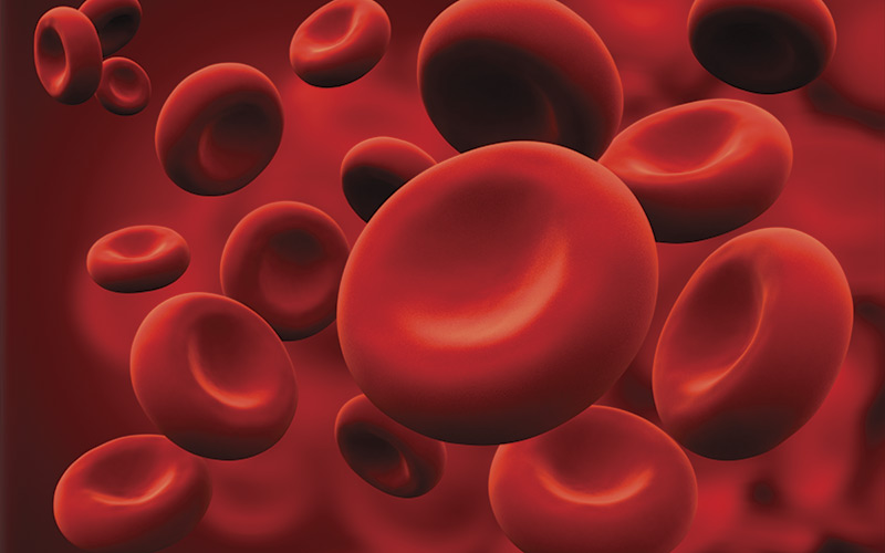Duffy Red Blood Cells iStock