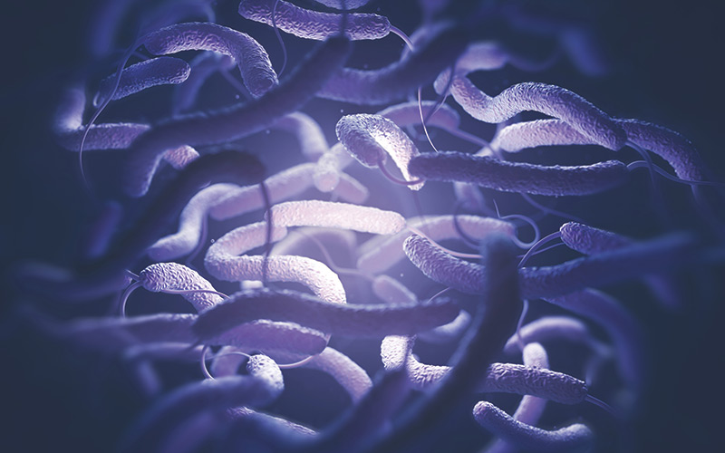 Vibrio Cholerae and Flagella Science photo