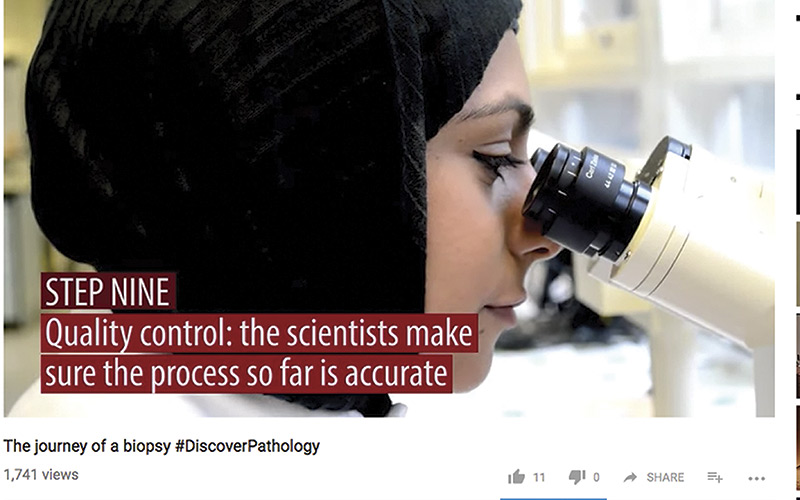 The Journey of a Biopsy Discover Pathology 1