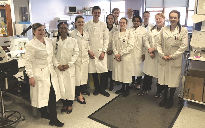 My Lab: dynamic histopathology service | The Biomedical Scientist Magazine  of the IBMS
