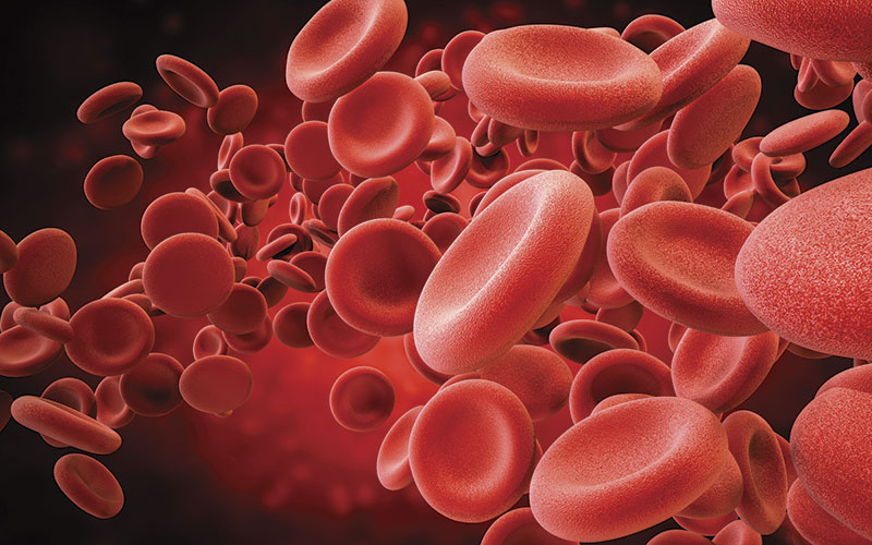 p8-11-news-red-blood-cells-istock-637422184.jpg