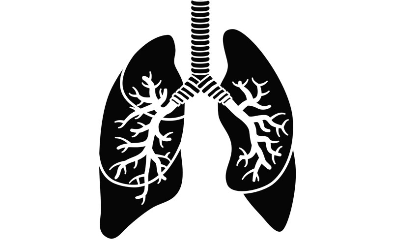 p8-13-lungs-istock-166011791-.jpg