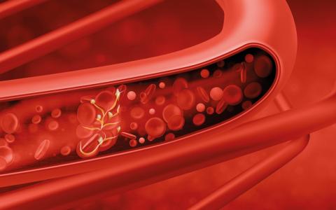 red blood cells CREDIT-iStock-1227353965