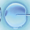 Embryo: iStock