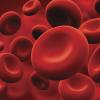 Duffy Red Blood Cells iStock