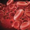 p8-11-news-red-blood-cells-istock-637422184.jpg