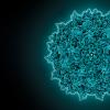 adeno associated virus capsid-Image Credit | Science Photo Library - c0142837