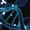 Blue helix human DNA structure-Image credit-shutterstock-1669326868