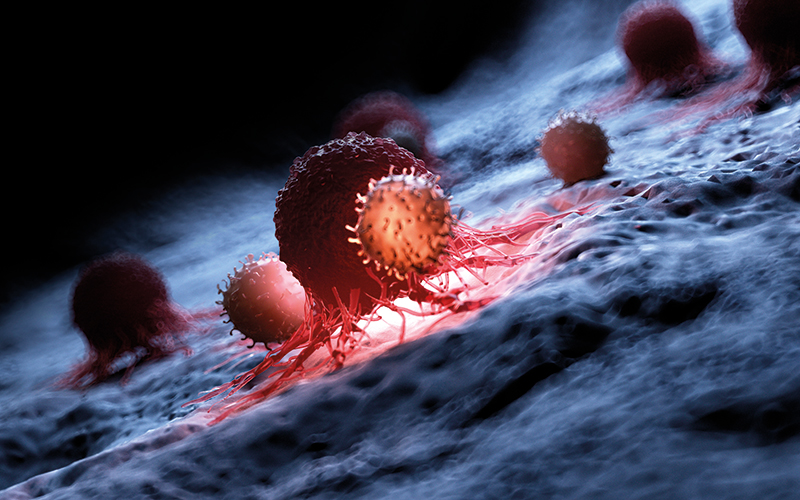 white cells attacking cancer - CREDIT- Science Photo Library f0234989.jpg